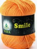 Пряжа для вязания Smile Vita
