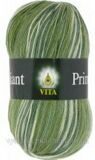 Пряжа для вязания Brilliant Print Vita